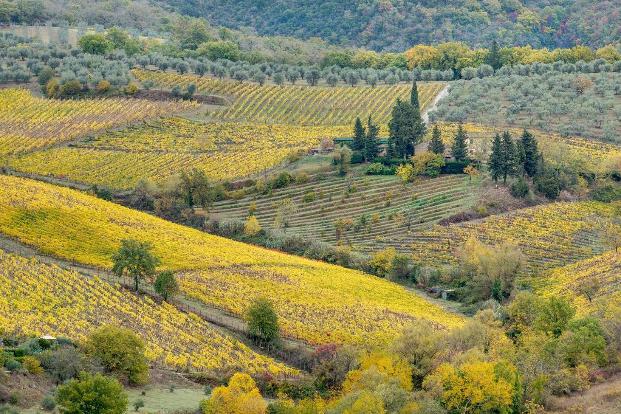 مبيت وإفطار غريفي ان شنتي Terre Di Baccio المظهر الخارجي الصورة